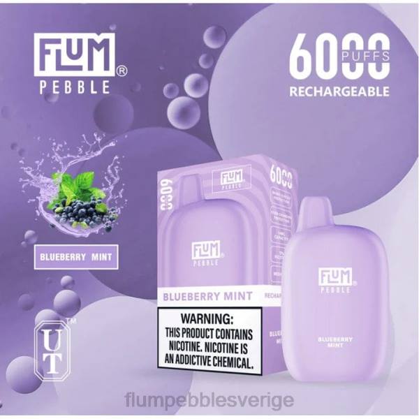 FLUM PEBBLES Bulk - FLUM PEBBLES 6000 bloss J8HB17 blåbärsmynta