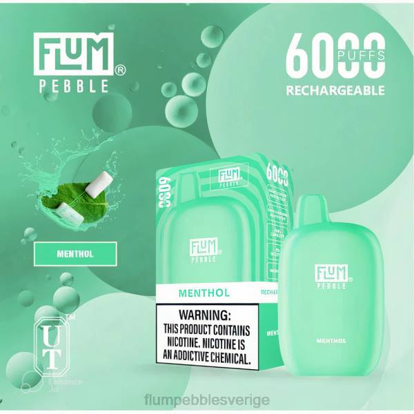 FLUM PEBBLES Bulk - FLUM PEBBLES 6000 bloss J8HB57 mentol