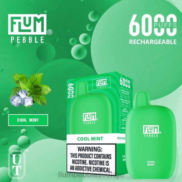 FLUM PEBBLES Flavors - FLUM PEBBLES 6000 bloss J8HB24 fräsch mint