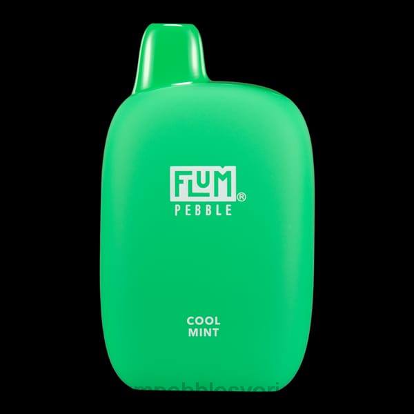 FLUM PEBBLES Flavors - FLUM PEBBLES 6000 bloss J8HB24 fräsch mint