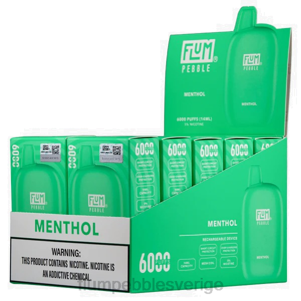 FLUM PEBBLES Flavors List - FLUM PEBBLES 6000 puffar 10 förpackningar J8HB58 mentol