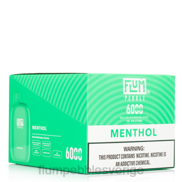 FLUM PEBBLES Flavors List - FLUM PEBBLES 6000 puffar 10 förpackningar J8HB58 mentol