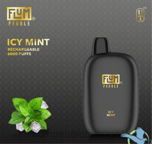 FLUM PEBBLES Wholesale - FLUM PEBBLES 6000 bloss J8HB49 iskall mynta