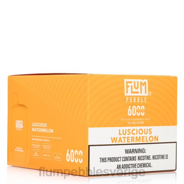 FLUM PEBBLE Sverige - FLUM PEBBLES 6000 puffar 10 förpackningar J8HB51 läcker vattenmelon