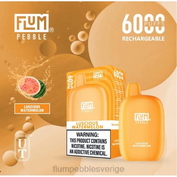 FLUM PEBBLE Vape Website - FLUM PEBBLES 6000 bloss J8HB50 läcker vattenmelon