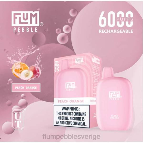 FLUM PEBBLE Vape Website - FLUM PEBBLES 6000 bloss J8HB60 persika isig