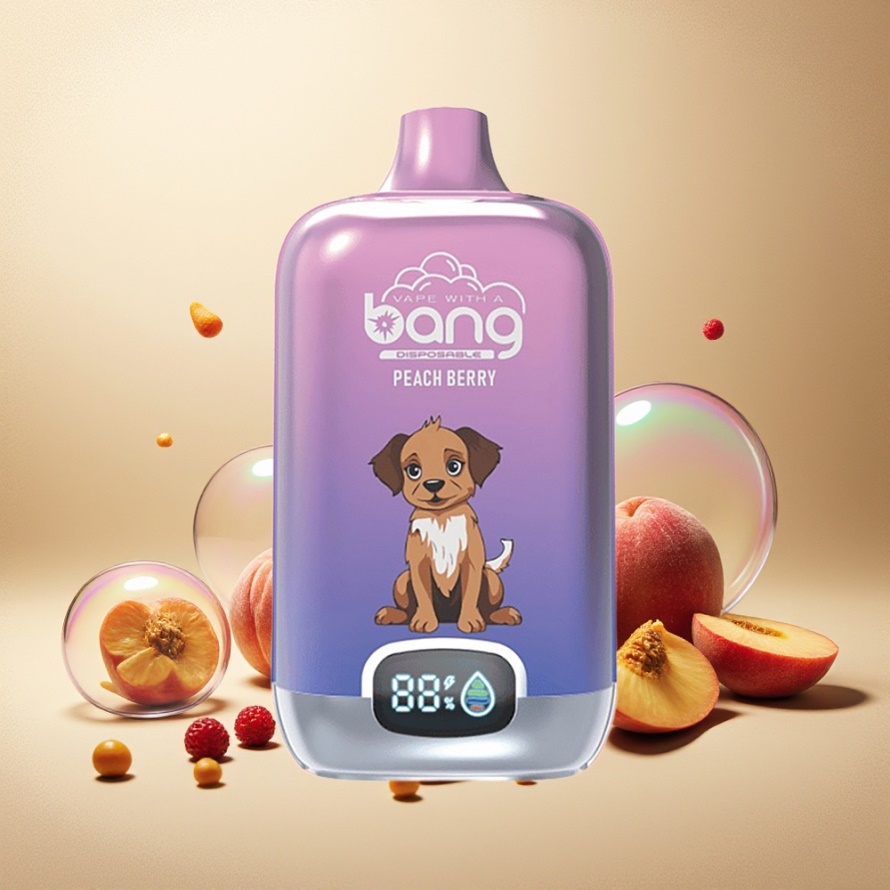 Bang Digital Box 15000 Puffs Svensk Grossist Engångs Vape Persika Bär med Smart Digital Display