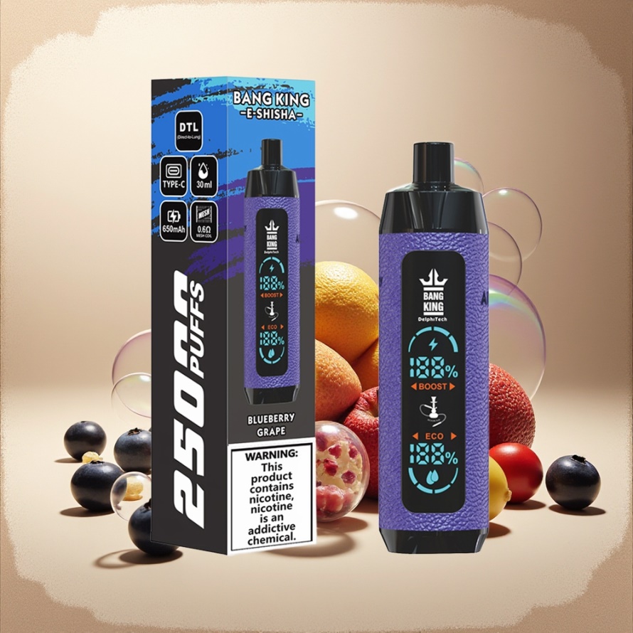 Bang King Shisha 25000 Puffs Svensk Grossist Engångs Vape Blåbär Druva 30ml 650mAh Type-C 0.6 Ohm