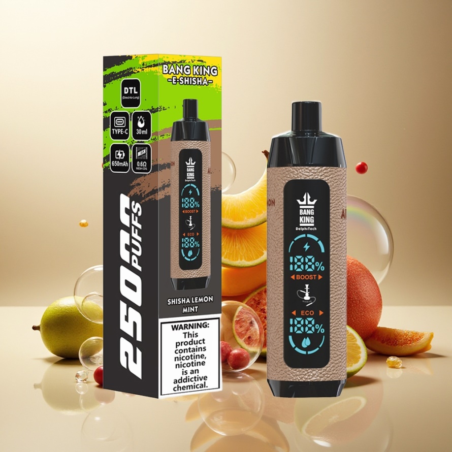 Bang King Shisha 25000 Puffs Svensk Grossist Engångs Vape Shisha Citronmint 30ml 650mAh Mesh 0.6 Ohm Type-C