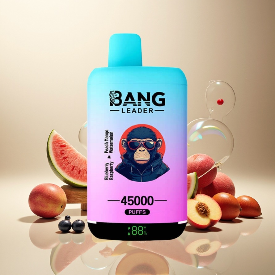 Bang Leader 45000 Puffs Svensk Grossist Engångs Vape Blåbär Hallon Persika Mango Vattenmelon med Smart Skärm & Typ-C USB