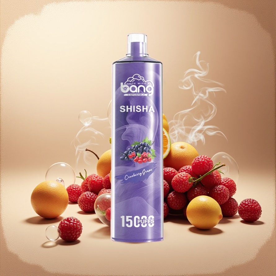 Bang Shisha 15000 Puffs Svensk Grossist Engångs Vape Tranbär Druva med 23ml E-liquid och Type-C Laddning