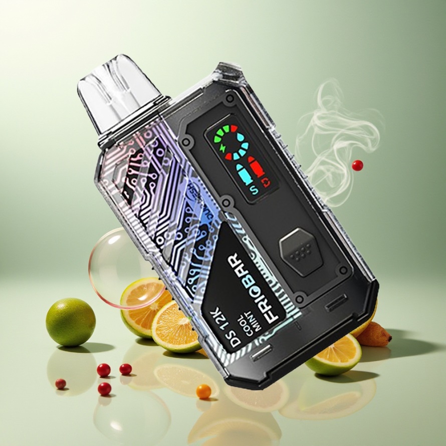 FRIOBAR DS 12K Engångs Vape Sval Mint 10mL 50mg Svensk Grossist USB-C 12000 puffar