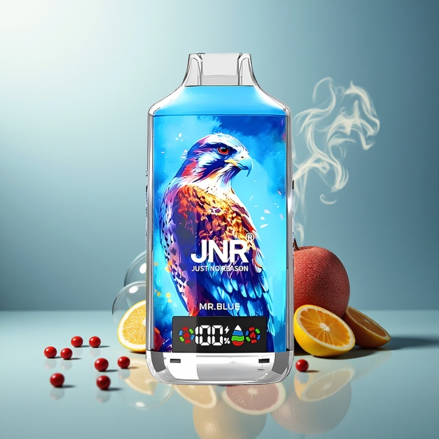 JNR Falcon X 18000 Puffs Svensk GrossistEngångs Vape Herr Blå 750mAh 24ml Dual Mesh Digital Type-C
