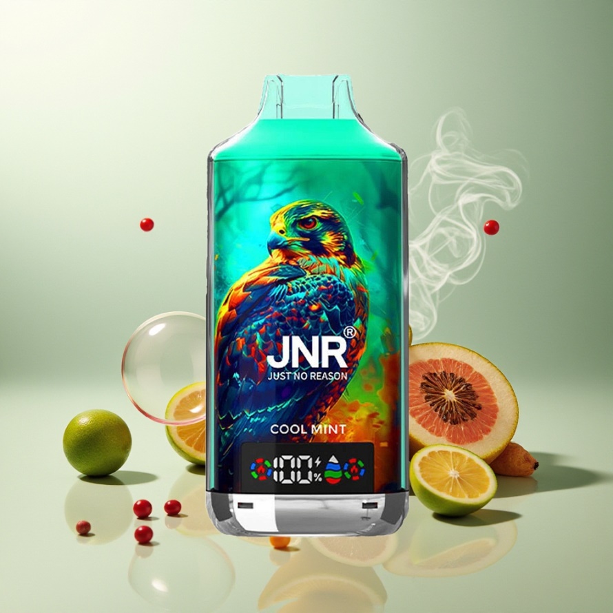 JNR Falcon X 18000 Puffs Svensk GrossistEngångs Vape Kylmynta 24ml Dual Mesh Coil Type-C