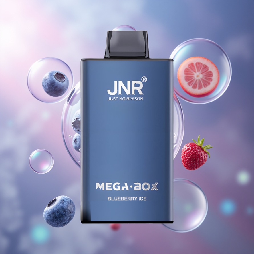 JNR Mega Box 25000 Puffs Engångs Vape Blåbär Is (30ml, 850mAh, Dual Mesh, Type-C) svensk grossist