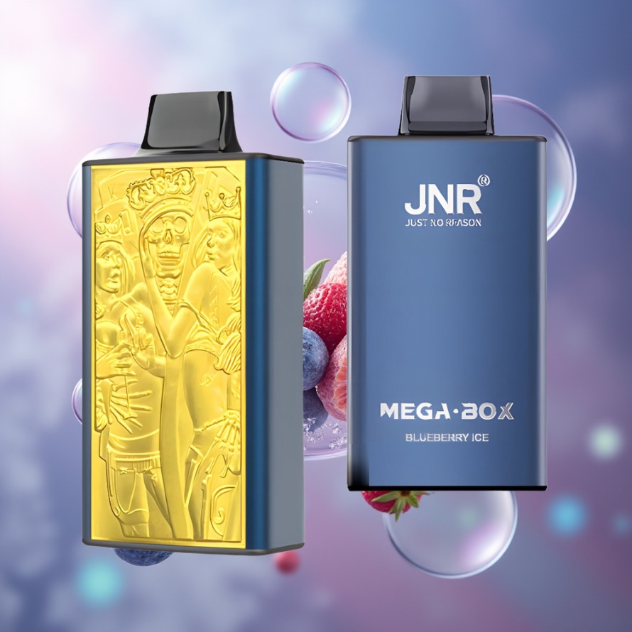 JNR Mega Box 25000 Puffs Engångs Vape Blåbär Is (30ml, 850mAh, Dual Mesh, Type-C) svensk grossist