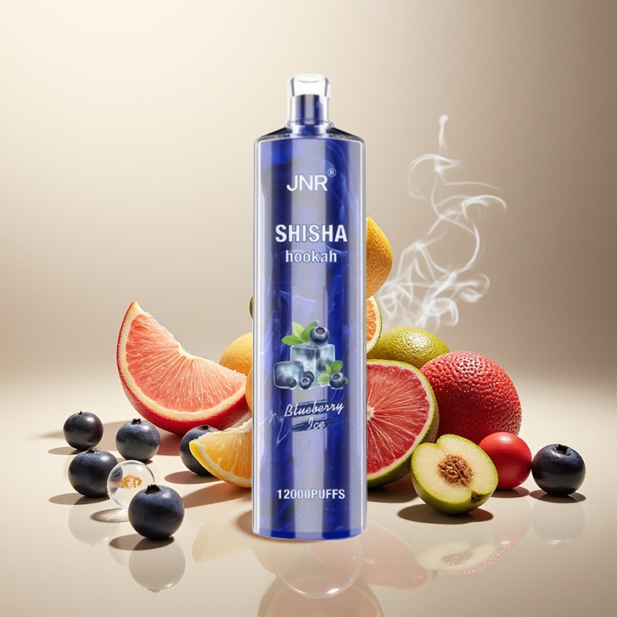 JNR Shisha Hookah 12000 PuffsEngångs Vape Blåbär Is 750mAh Type-C svensk grossist