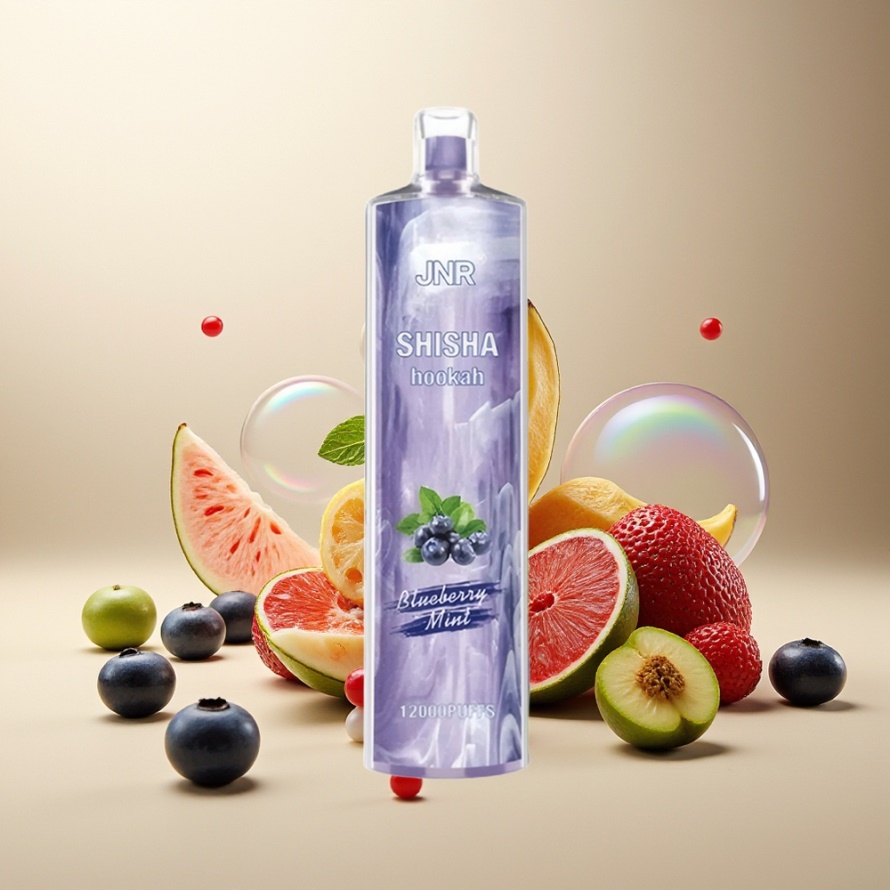 JNR Shisha Hookah 12000 Puffs 750mAh Type-C Svensk Grossist Blåbär MyntaEngångs Vape