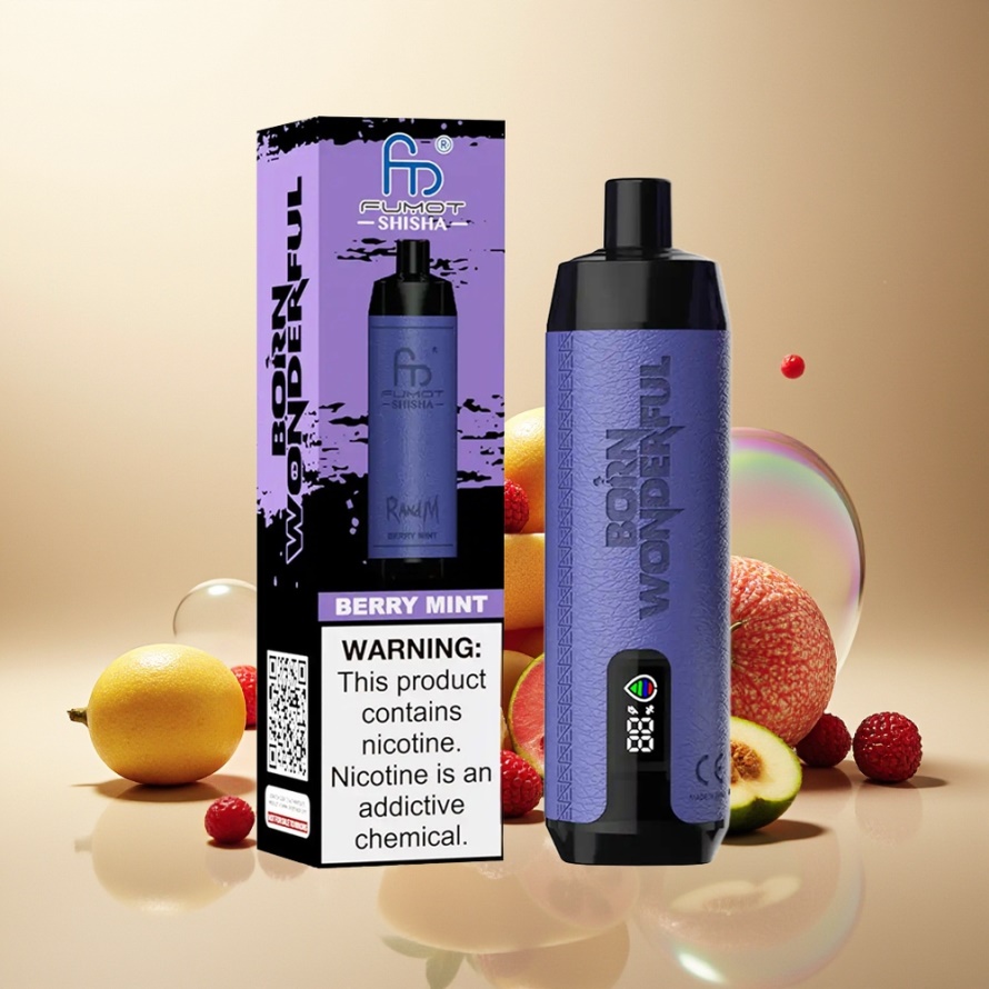 RandM Fumot Shisha 10000 Puffs Engångs Vape Bär Mint med LED Indicator och Type-C Port - svensk grossist