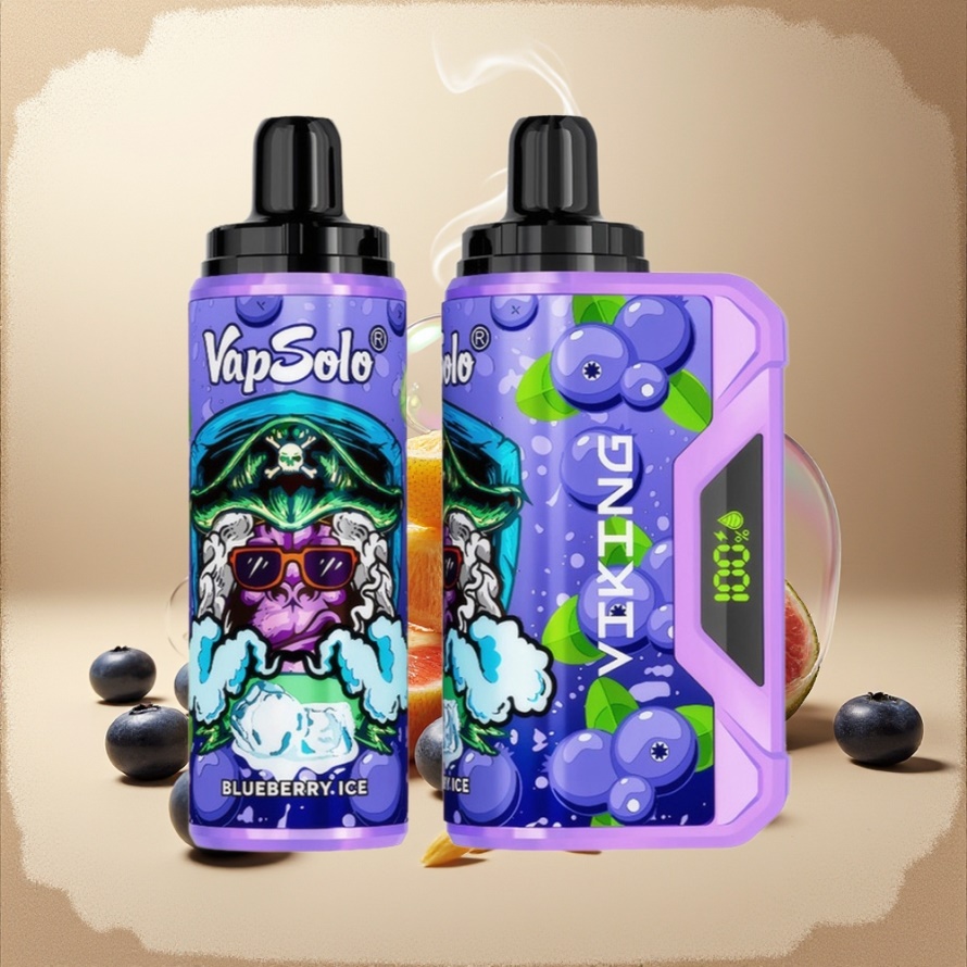 VapSolo VIKING 12000 Puffs Engångs Vape Blåbär med 22ml E-Liquid & Type-C svensk grossist