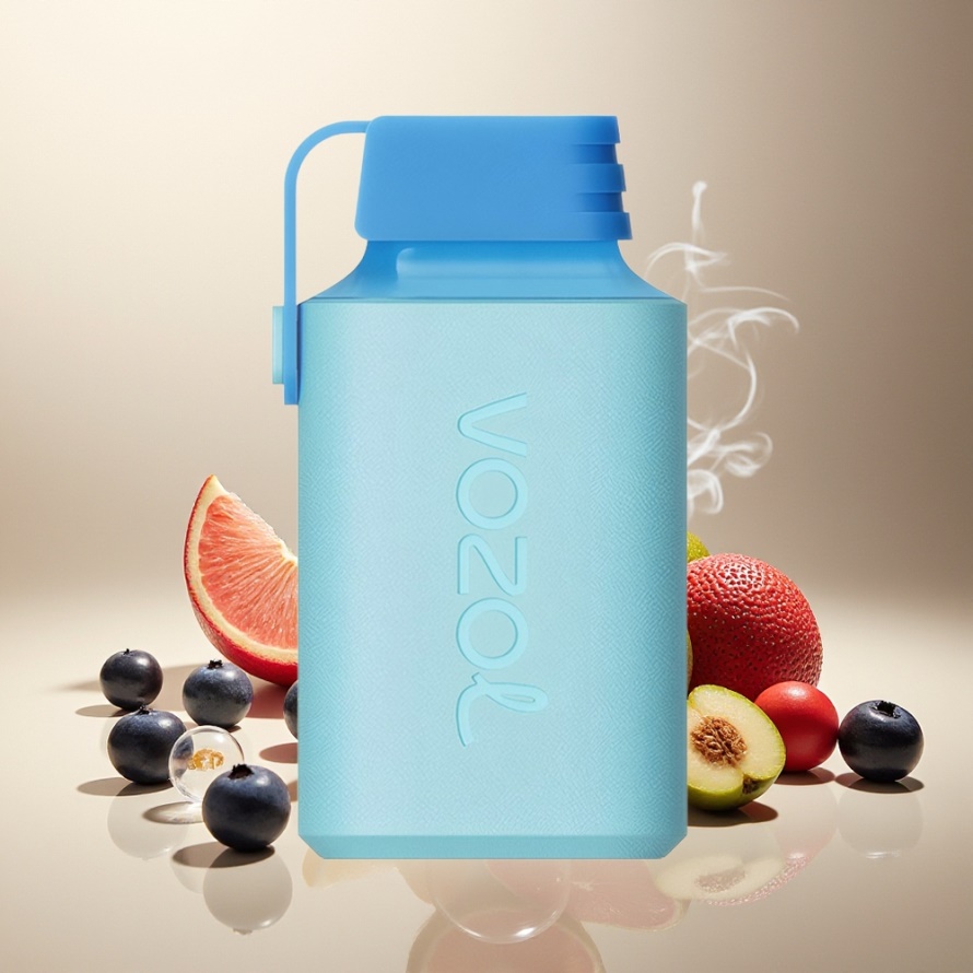 VOZOL GEAR 600 Engångs Vape Blåbärs-is med 600 puffar & Type-C svensk grossist