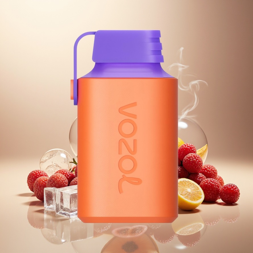 VOZOL GEAR 600 Engångs Vape Tranbär Vindruva Is med 600 Puffar & Type-C Laddning – Svensk Grossist