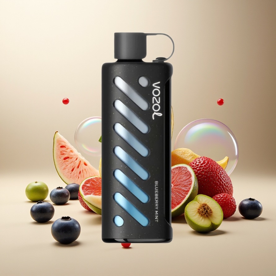 VOZOL Gear Shisha 25000 Puffs Blåbär Mynta Svensk Grossist S.i.L.C Tech Dual Mesh 1000mAh