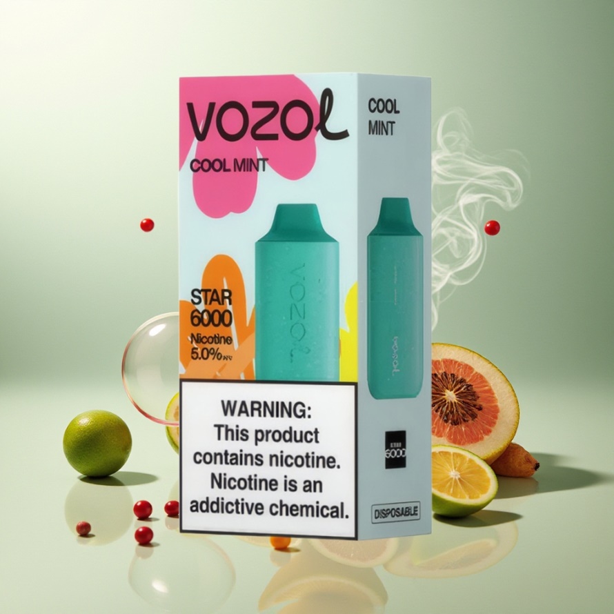 VOZOL STAR 6000 Engångsvape Kylmynta 14ML 6000 Puffar Type-C svensk grossist